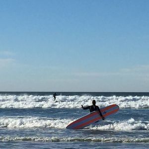 Meet your Posher, Ken